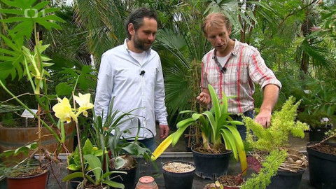 Polopatě - 14. dubna 2019