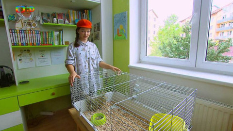 Terčin zvířecí svět - 27. září 2019