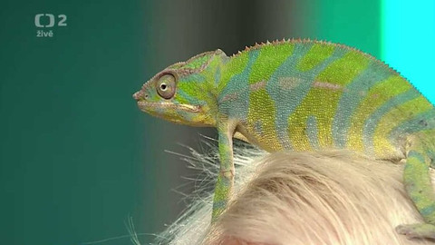 Dobré ráno - 29. července 2014