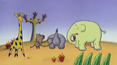 Pojďme za zvířátky - Příběh o zebře Zed
