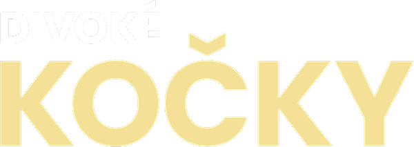 Divoké kočky