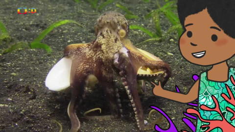 Velká kniha o zvířátkách - Epizoda 34/52