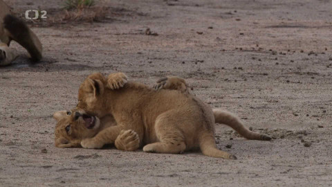 Dobrodružství vědy a techniky - Znovuzrození přírodního prostředí