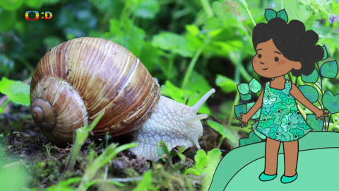 Velká kniha o zvířátkách - Epizoda 15/52