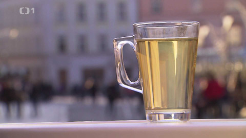 Černé ovce - 12. prosince 2024