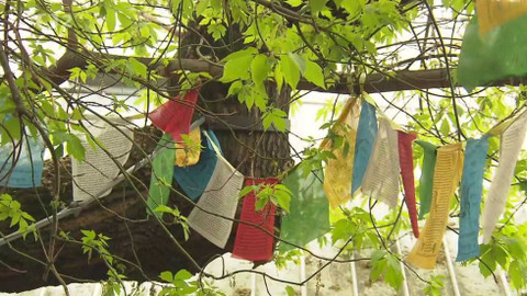 Nedej se! - Brigáda na střeše světa