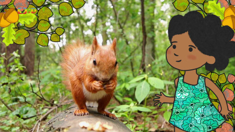 Velká kniha o zvířátkách - Epizoda 51/52