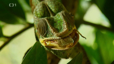 Polopatě - 24. května 2020