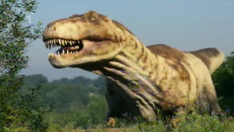 Toulavá kamera - 30. srpna 2009