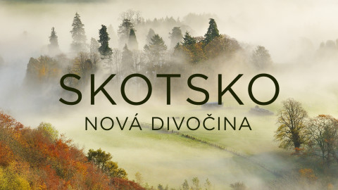 Skotsko - nová divočina