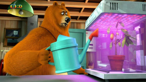 Méďa a lumíci - Obří lekce botaniky