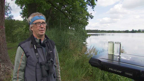 Nedej se! - Klenoty, které se již netřpytí