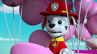 Tlapková patrola II