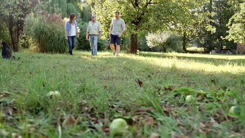 Co naše babičky uměly a na co my jsme zapomněli - Jablko