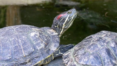 Chcete mě? - 16. října 2009