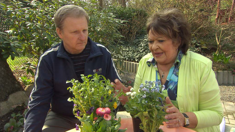 Hobby naší doby - 21. května 2016