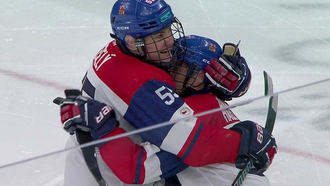 XIV. zimní paralympijské hry 2026 Milano Cortina - USA - Česko