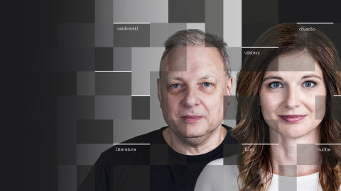 Procento na kulturu - Procento na umění