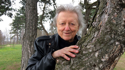 13. komnata - 13. komnata Václava Neckáře