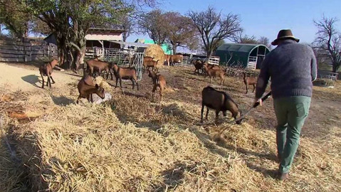 Nedej se! - Pestrá krajina