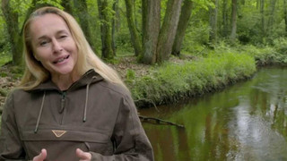 Magické hlubiny II