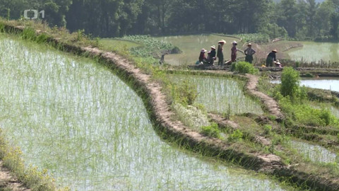 Objektiv - 5. června 2016