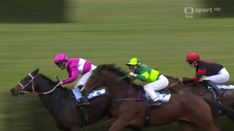 Dostihy - Cena zimního favorita