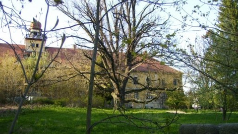 Památky na prodej - Zámek Štědrá