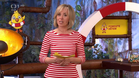 Pomozte dětem - Denní vstup