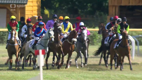 Dostihy - Memoriál Evy Palyzové