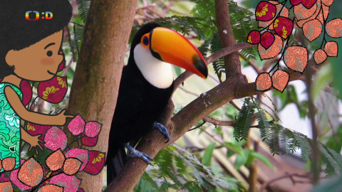 Velká kniha o zvířátkách - Epizoda 47/52