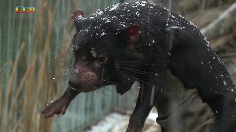 Zprávičky - 19. února