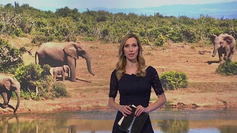 Horizont ČT24 - 8. ledna 2017