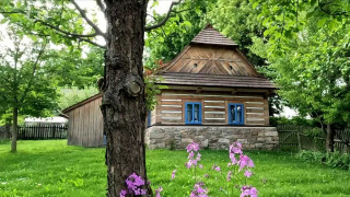 Vysočina 21. století