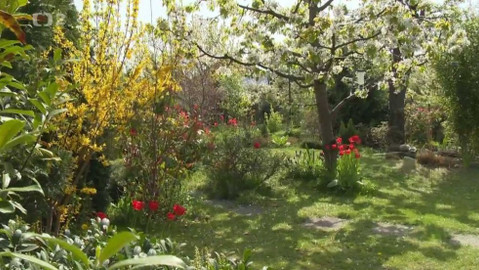 Folklorika - Řekni mi, co pěstuješ