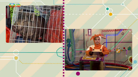 Telefon - 24. února 2017