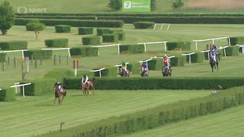 Turf - 2. června 2016