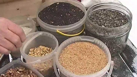 Zahrada je hra - 8. března 2007