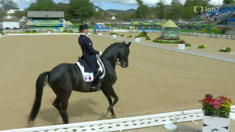 XXXI. letní olympijské hry 2016 Rio de Janeiro - Jezdectví: Drezura - družstva