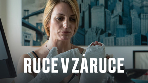 Ruce v záruce