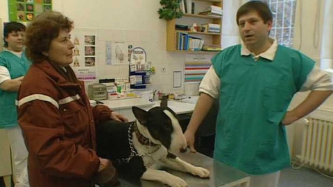 Ta naše povaha česká - Čtyřnozí "zabijáci"