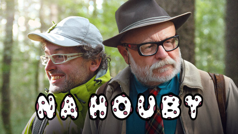 Na houby