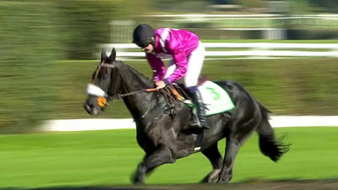 Dostihy - Cena Zimní královny