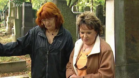 Dobrá rada nad zlato - 18. října 2008