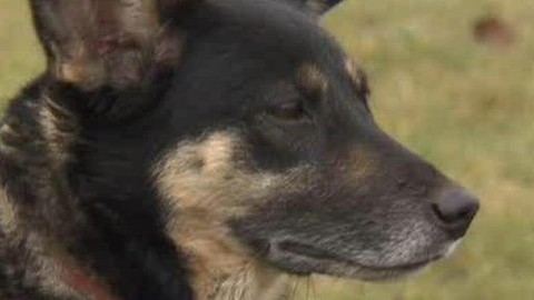 Chcete mě? - 8. ledna 2010