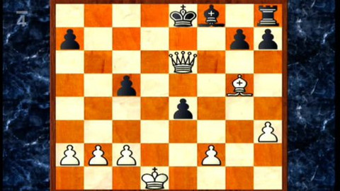 V šachu - 30. dubna 2010