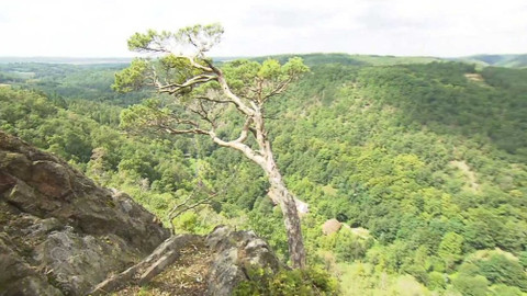 Nedej se! - Utopíme řeku Oslavu – “Poslední ráj”?
