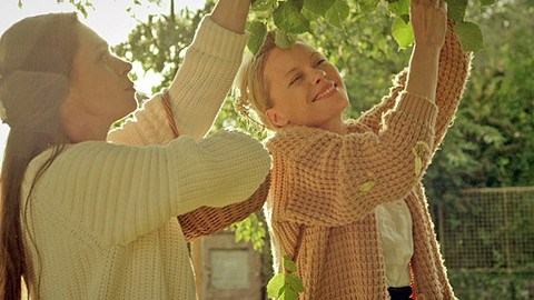 Herbář - Zase nachlazení