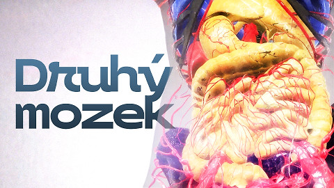 Druhý mozek