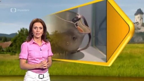 Toulavá kamera - 8. června 2008